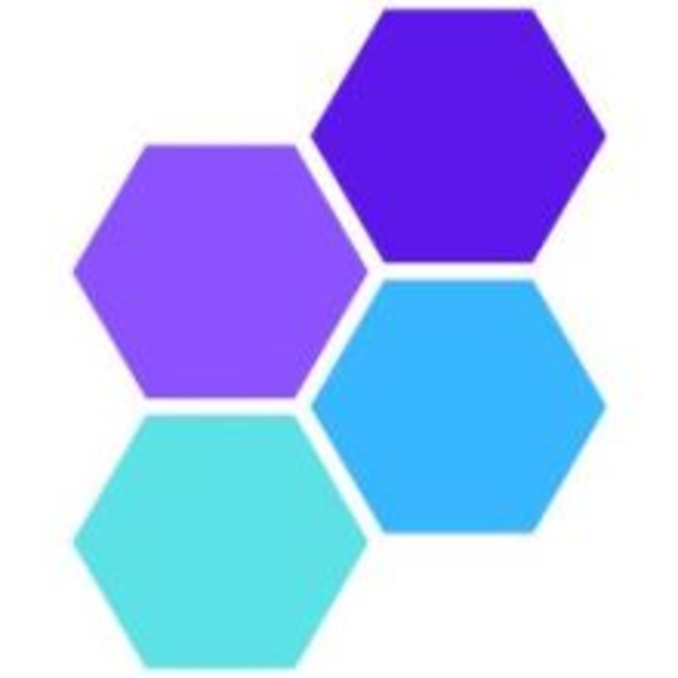 Wise Dash logo 250x250.jpg